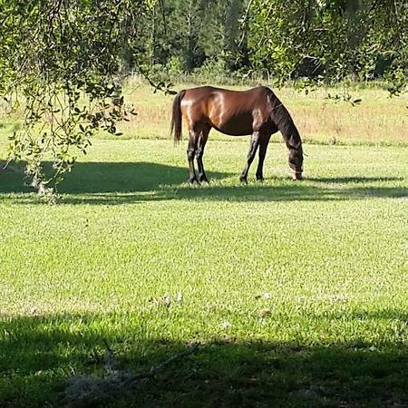 Kokomo Farms Live Oak Dış mekan fotoğraf