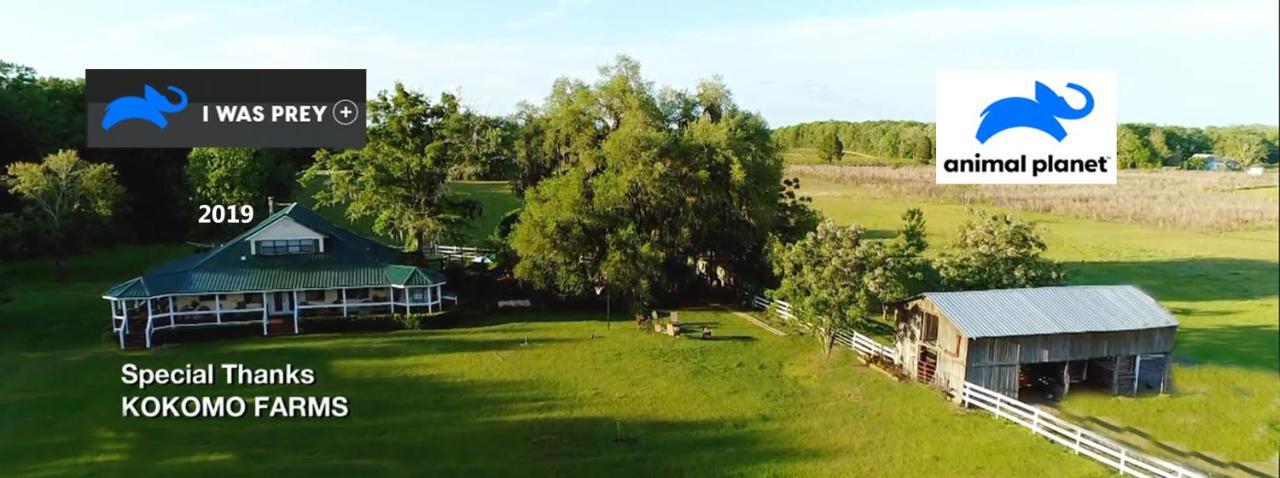 Kokomo Farms Live Oak Dış mekan fotoğraf