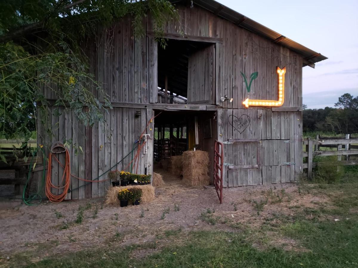 Kokomo Farms Live Oak Dış mekan fotoğraf