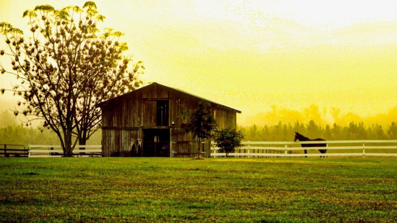 Kokomo Farms Live Oak Dış mekan fotoğraf