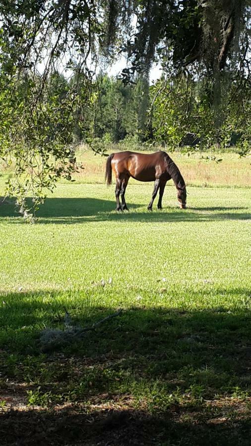 Kokomo Farms Live Oak Dış mekan fotoğraf